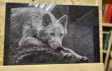 Obraz z granitu przedstawiający wilka, kt&oacute;ry głowę ma opartą na swoich łapach.