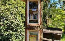 Biblioteczka wypełniona książkami stoi w Arboretum w Wirtach. Za nią stoi ławeczka i jest dużo pięknej zieleni.