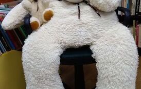 Duży biały miś siedzi na krześle, a na nim mały biały misiek z prawej strony pod ręką.