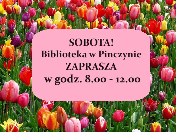 Informacja o&nbsp;czynnej bibliotece w&nbsp;Pinczynie w&nbsp;sobot w&nbsp;godz. 8-12. Tło w&nbsp;tulipanach.