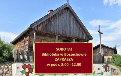 Zdjęcie do 1 PAŹDZIERNIKA- SOBOTA - OTWARTA BIBLIOTEKA W BORZECHOWIE